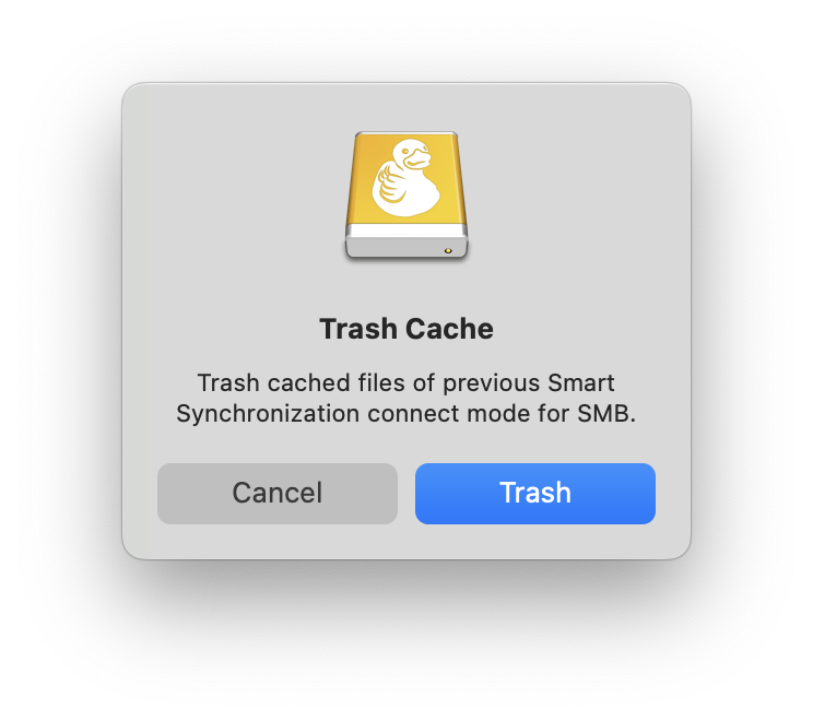 Delete Cache Prompt