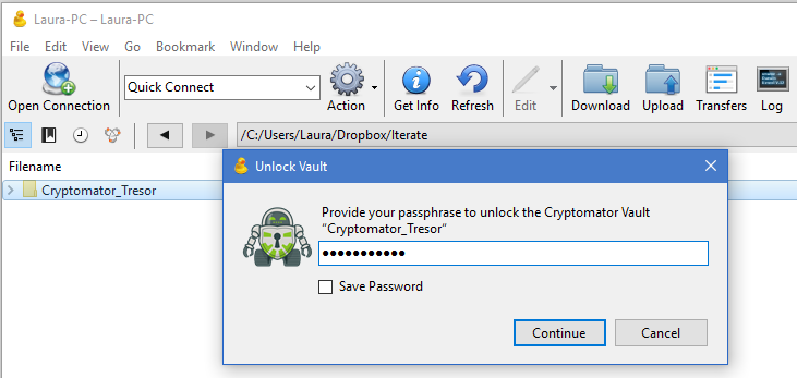 Cyberduck Access Cryptomator Vault